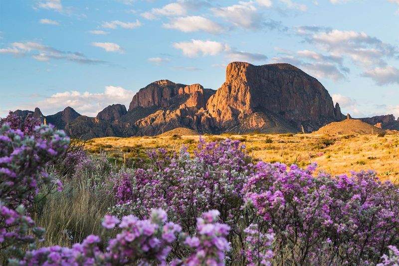 Big Bend National Park, West Texas