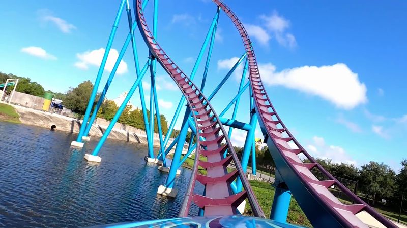 Ocean Predator At SeaWorld
