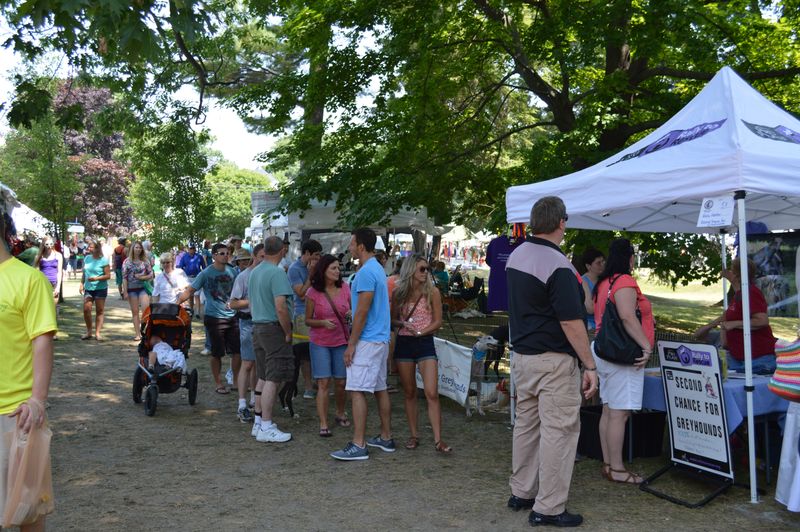 Blueberry Festival Craft Fair