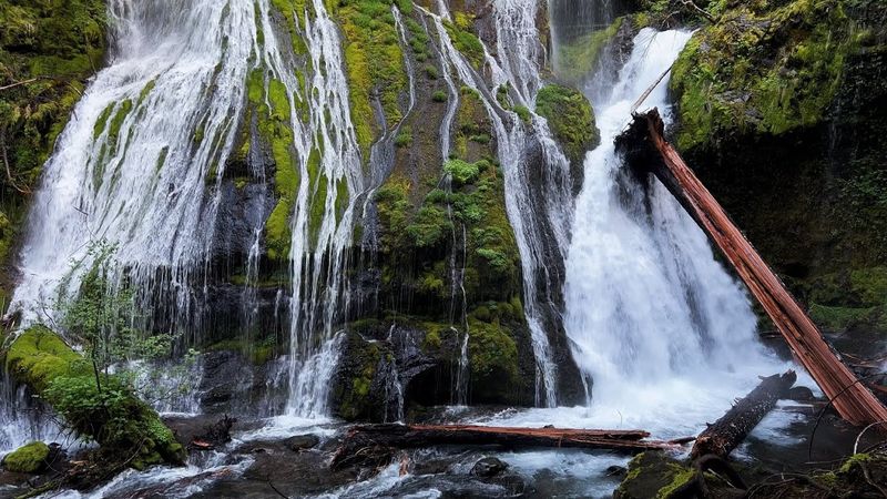 Panther Creek Falls: The Swimming Hole Paradise