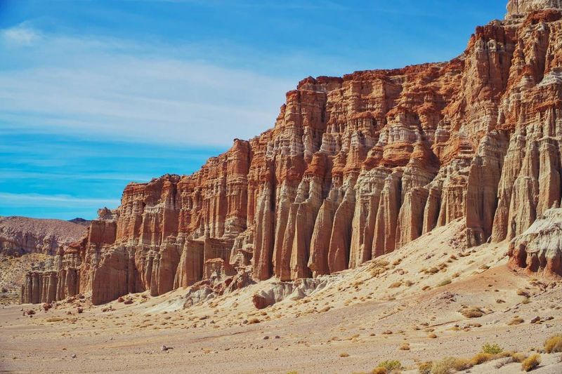 Red Rock Canyon State Park (Mojave Desert)