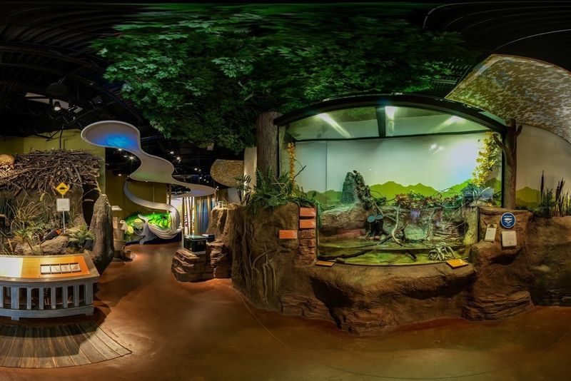 Chattahoochee Nature Center: Wildlife Encounters in Roswell