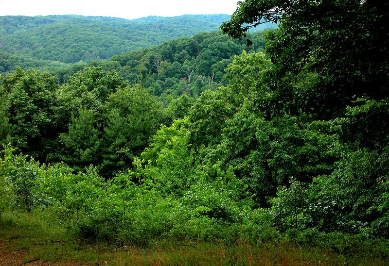 Scioto Trail State Forest