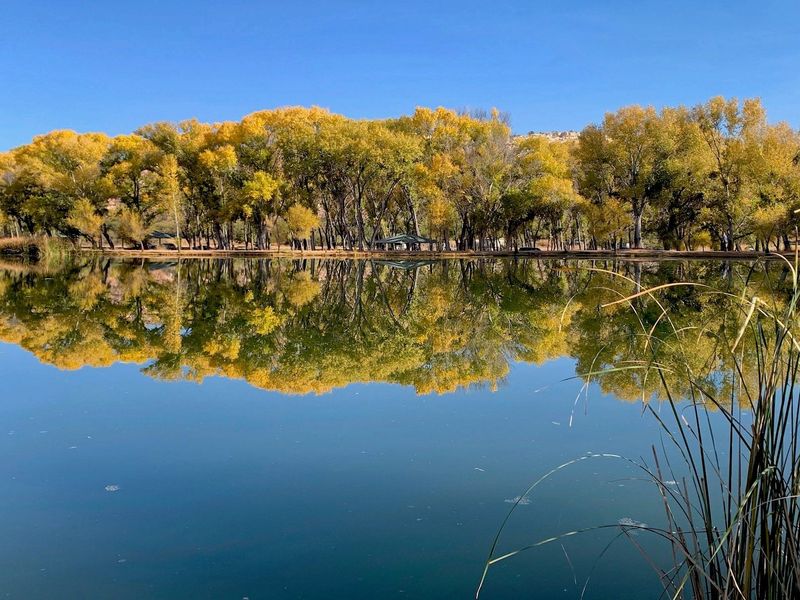Dead Horse Ranch: Verde Valley's Hidden Gem