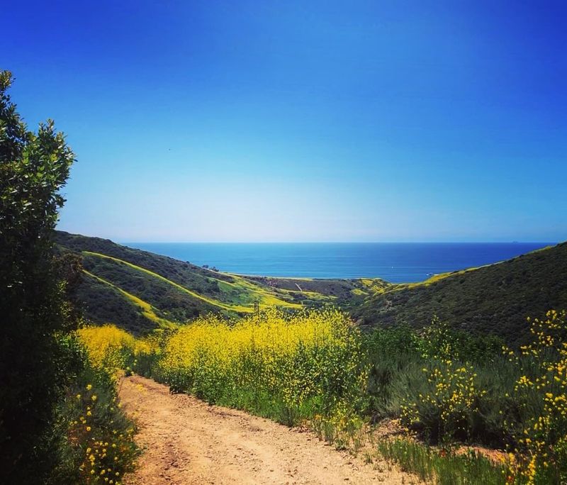 Breathtaking Coastal Trail Adventures