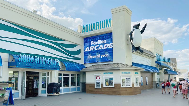 Point Pleasant Has Sharks And Sinatra