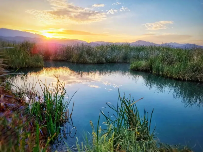 Tecopa Hot Springs – Mineral-Rich Healing