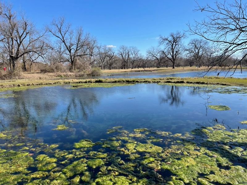 Berry Springs Park and Preserve