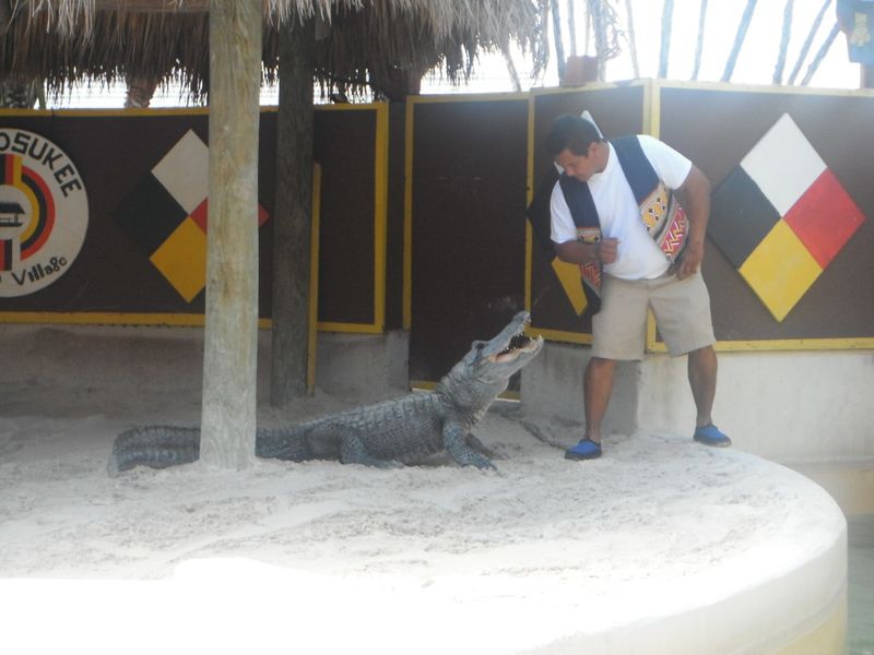 Alligator Demonstrations and Airboat Rides