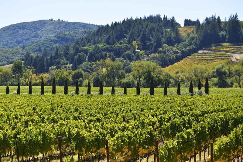 Guerneville in Sonoma Wine Country