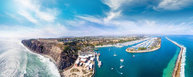 Dana Point: Where Whales and Luxury Meet