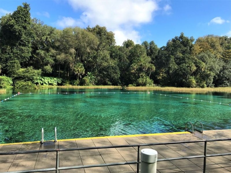 Rainbow Springs - The Ancient Swimming Hole