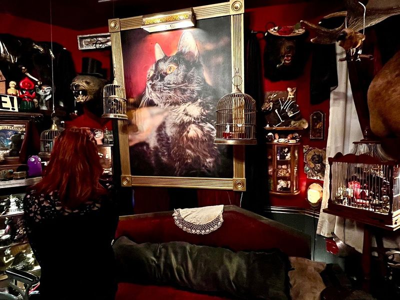 Trundle Manor's Cabinet of Curiosities