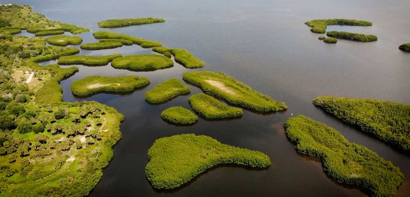 Schultz Preserve (Tampa Area)