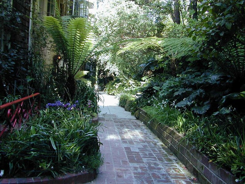 Macondray Lane: A Secret Garden Walk in Russian Hill