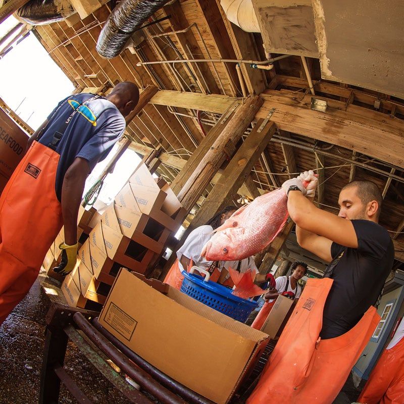 Sea Market: Destin's Direct-from-Boat Experience