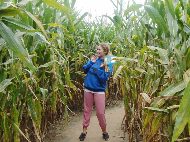 Yesterland Farm's Mind-Bending Labyrinth
