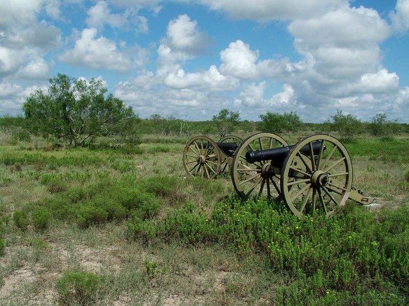 Palo Alto: First Clash of the Mexican-American War