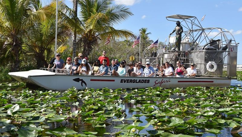 Packaged Everglades Tour Buses