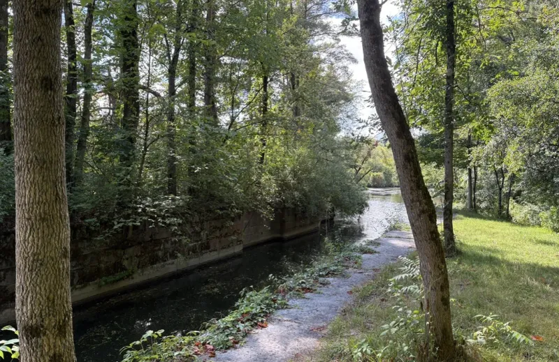 Hike Through Fall Colors at Great Bear Recreational Trails