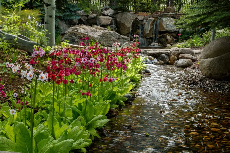 Western Colorado Botanical Gardens: Desert Meets River