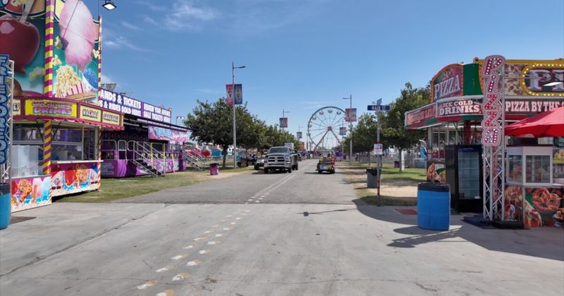 Health-Conscious Options: Finding Balance at the Fair