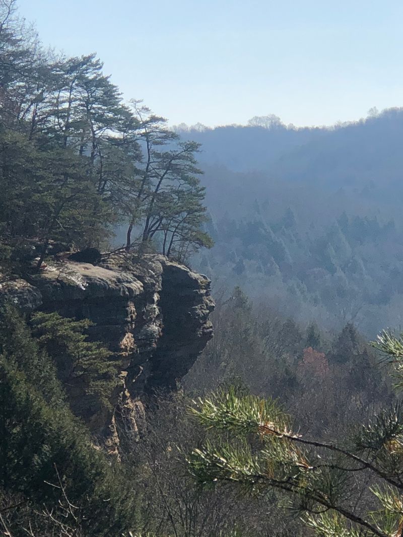 Rim Trail Overlook at Conkle's Hollow: Panoramic Gorge Scenery