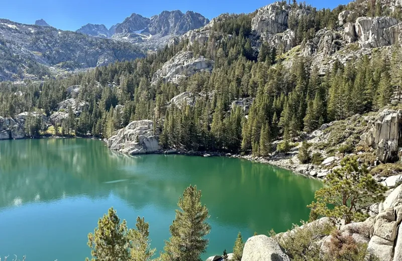Round Valley Meadow, Inyo National Forest