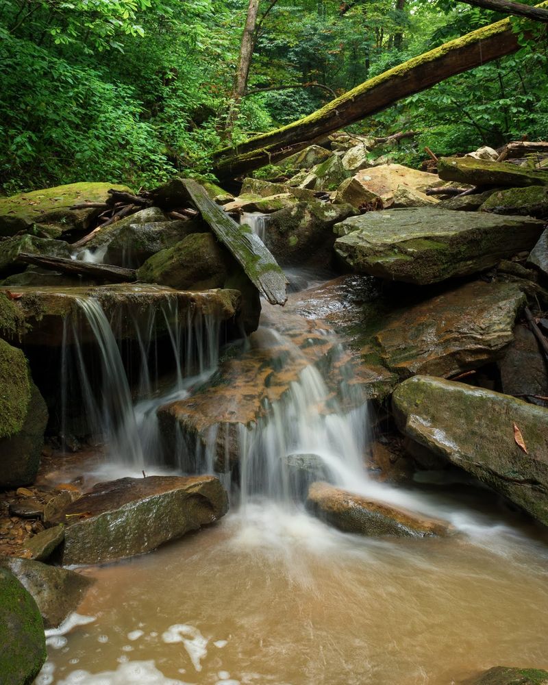 Hidden Falls: Nature's Best-Kept Secret