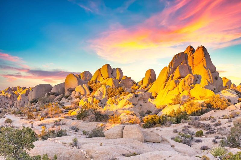 Joshua Tree National Park