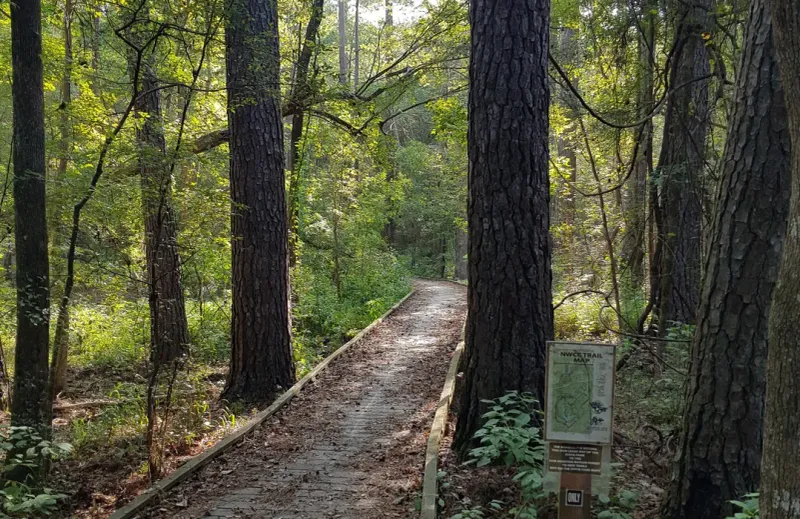 Huntsville State Park Dogwood Trail: Shaded Walks Near Lake Raven