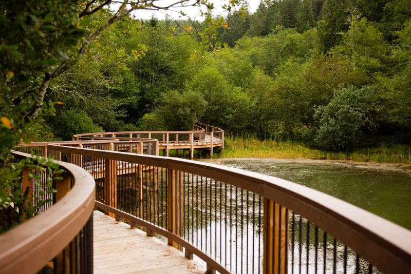 Willapa National Wildlife Refuge: Coastal Sanctuary