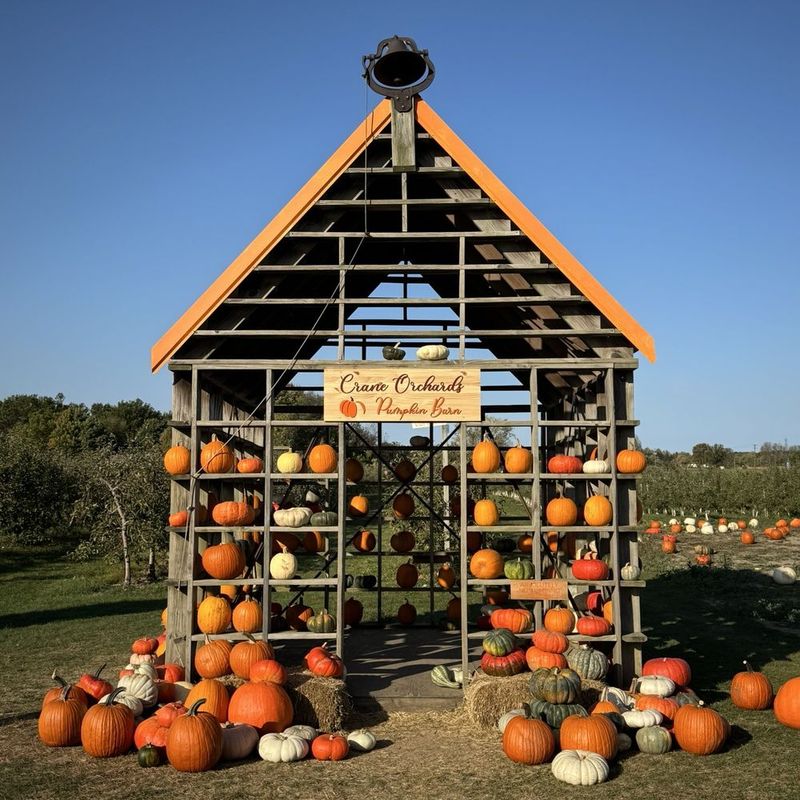 Crane Orchards in Fennville: U-Pick Pumpkins by the Lakeshore