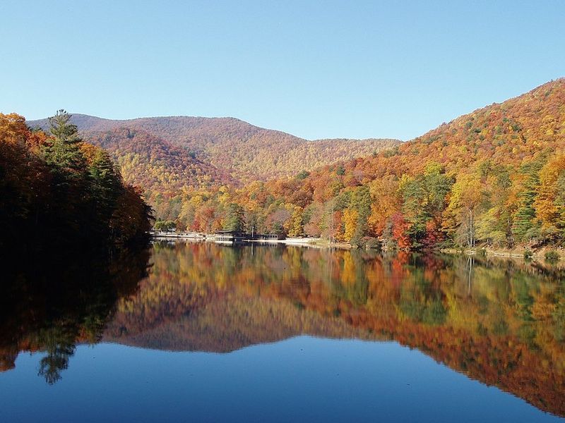 Vogel State Park