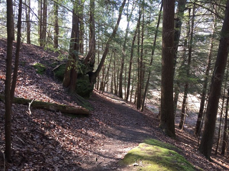 Clear Creek Metro Park: Wooded Ridges Away from Heavy Traffic