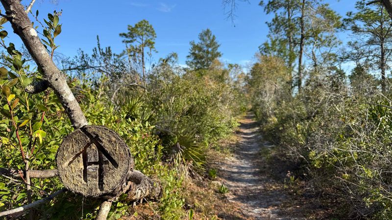 Seminole State Forest Hiking Network
