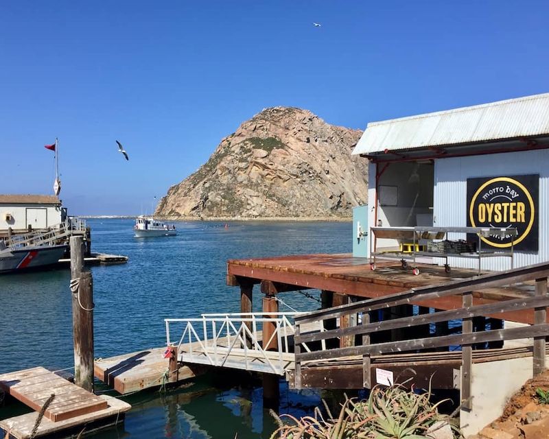 Morro Bay's Oyster Paradise