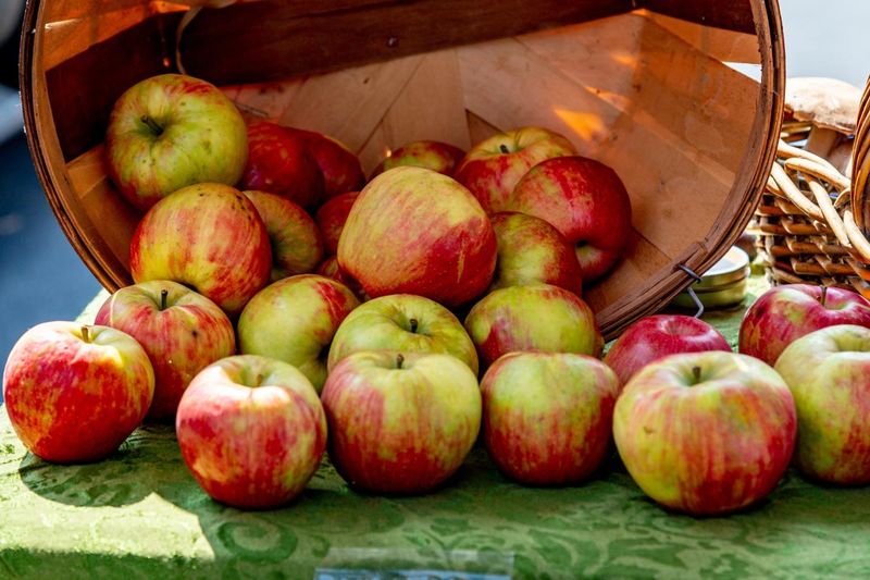 Southwest Apple & Chile Fest: Autumn's Perfect Flavor Combination