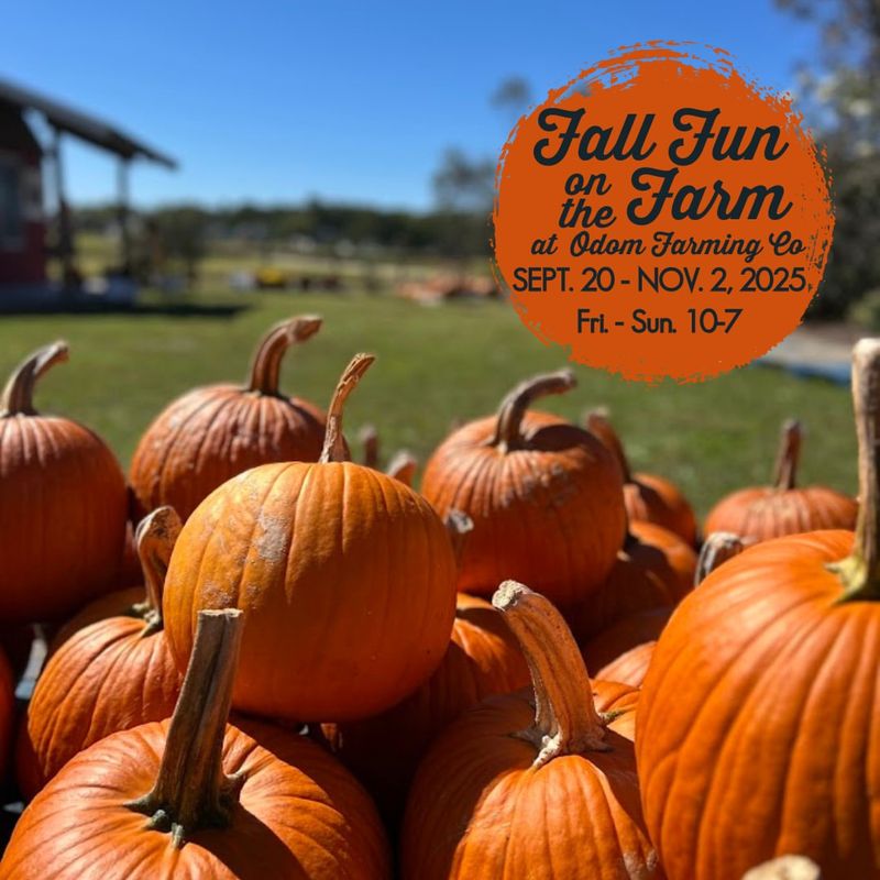 Odom Farming Company: Goldsboro's Harvest Market Extravaganza