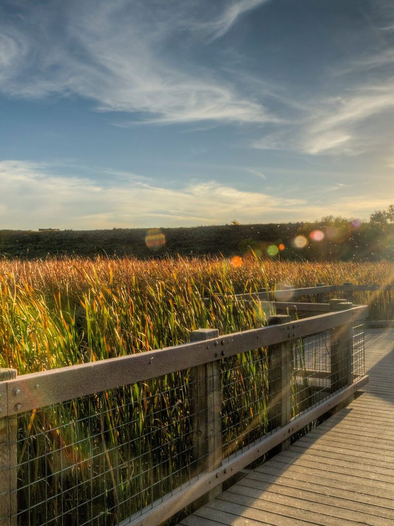 Bluff Lake Nature Center: Urban Wildlife Refuge