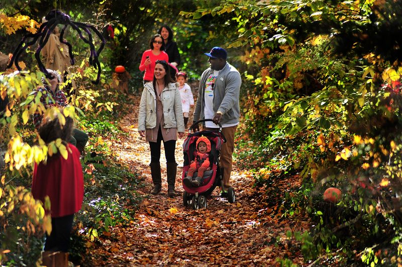 Greenburgh Nature Center Gardens in Scarsdale: Education Through Native Plants