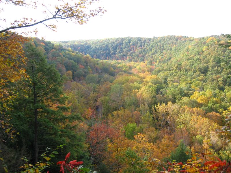 Valley Overlook in Mohican State Park: Forested Hills and River Bends
