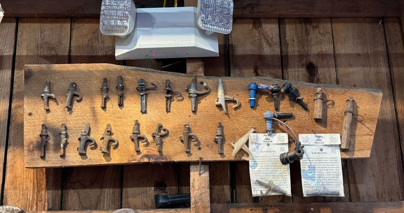 Jamaica's Hidden Maple Treasures
