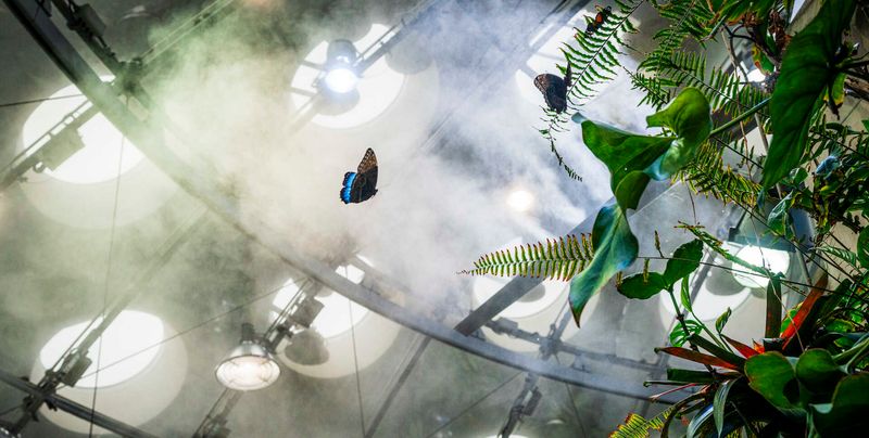 Explore The California Academy Of Sciences