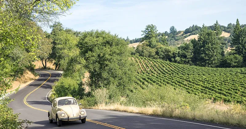Highway 128 through Anderson Valley