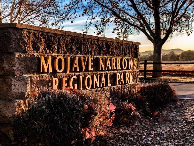 Mojave Narrows Regional Park: The Perfect Autumn Backdrop
