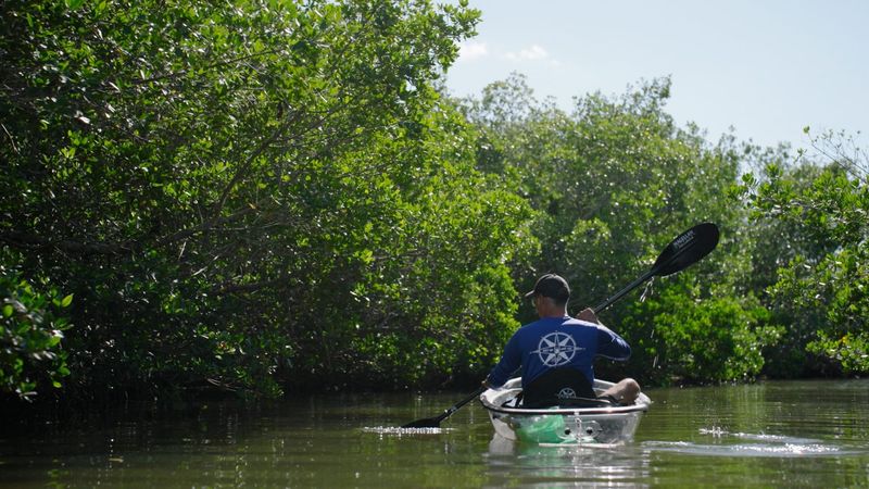 North Port Canals (Sarasota County)