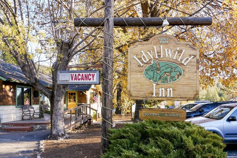 Idyllwild: Mountain Retreat Reaching Peak Popularity