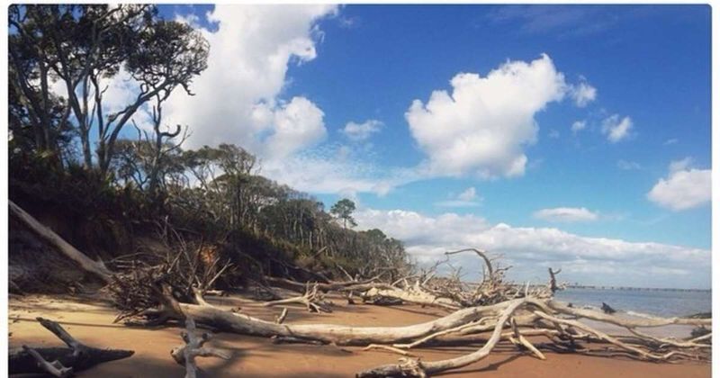 Little Talbot Island State Park