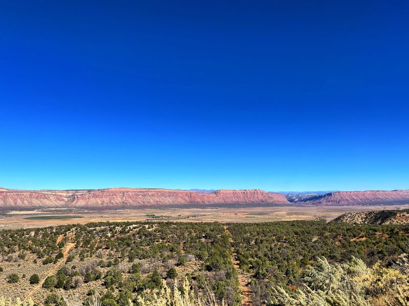Paradox Valley's Alien Landscape